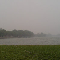 bjfxxc1