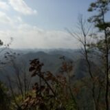 小柳