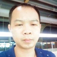 平凡的小小鸟1