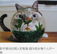 左岸的左zj