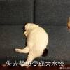 跑步炒鸡慢的铝孩纸1