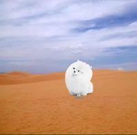语_b031