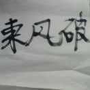 Alex李浩1