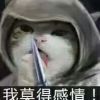 13131313大伟大1