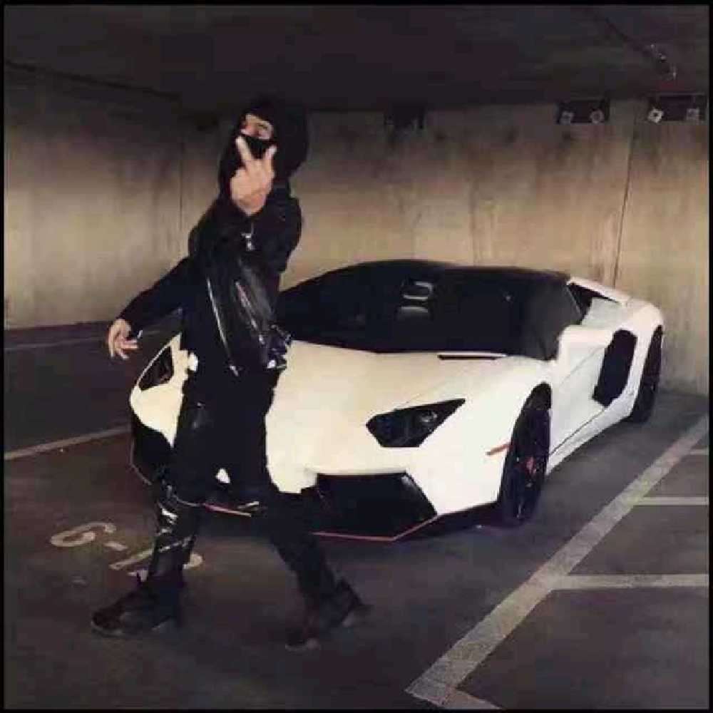 它叫艺术也是个人c1