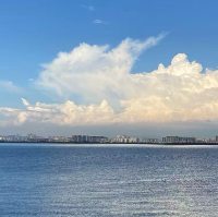 jf_45482115