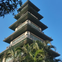 牛牛